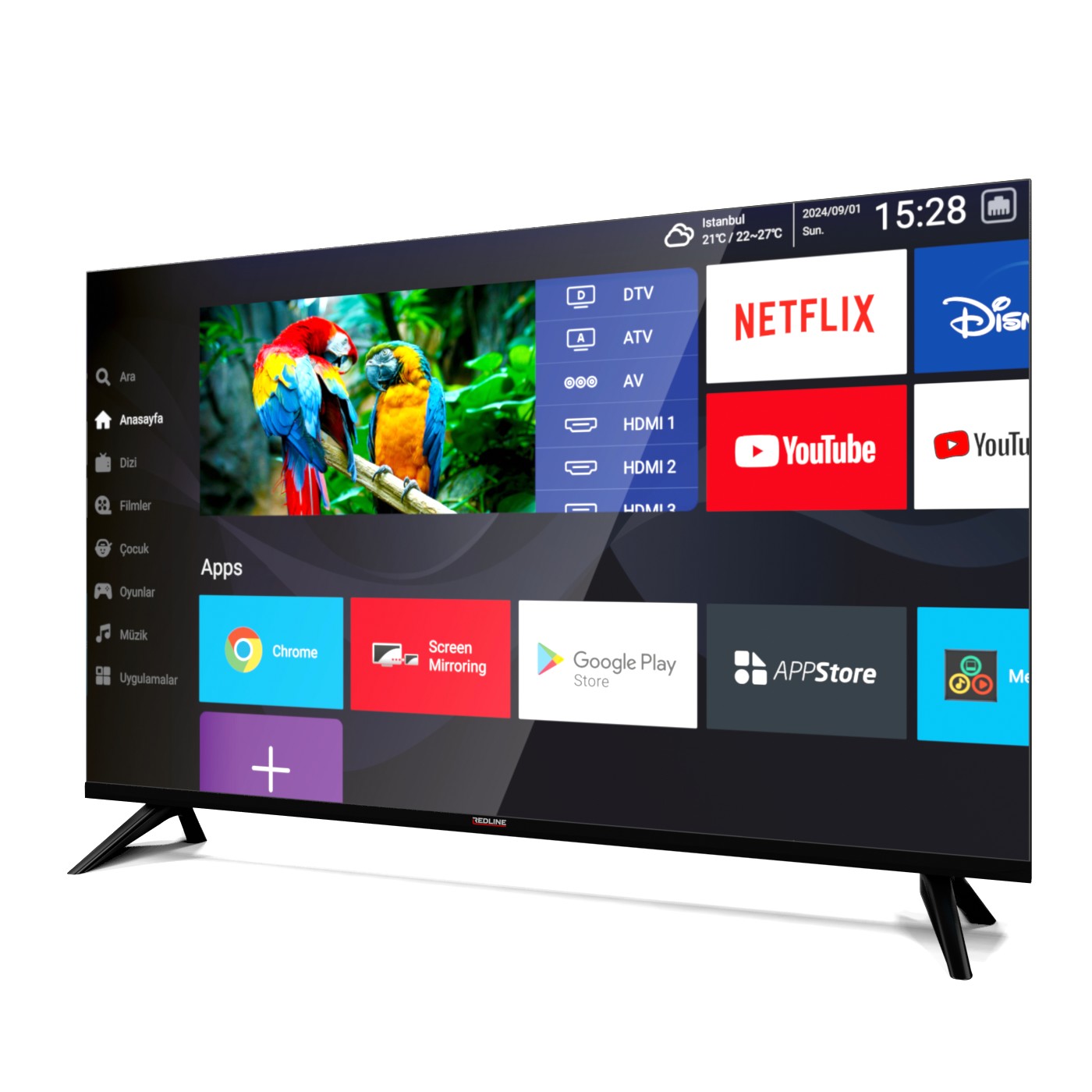 Güney Televizyon Servisi